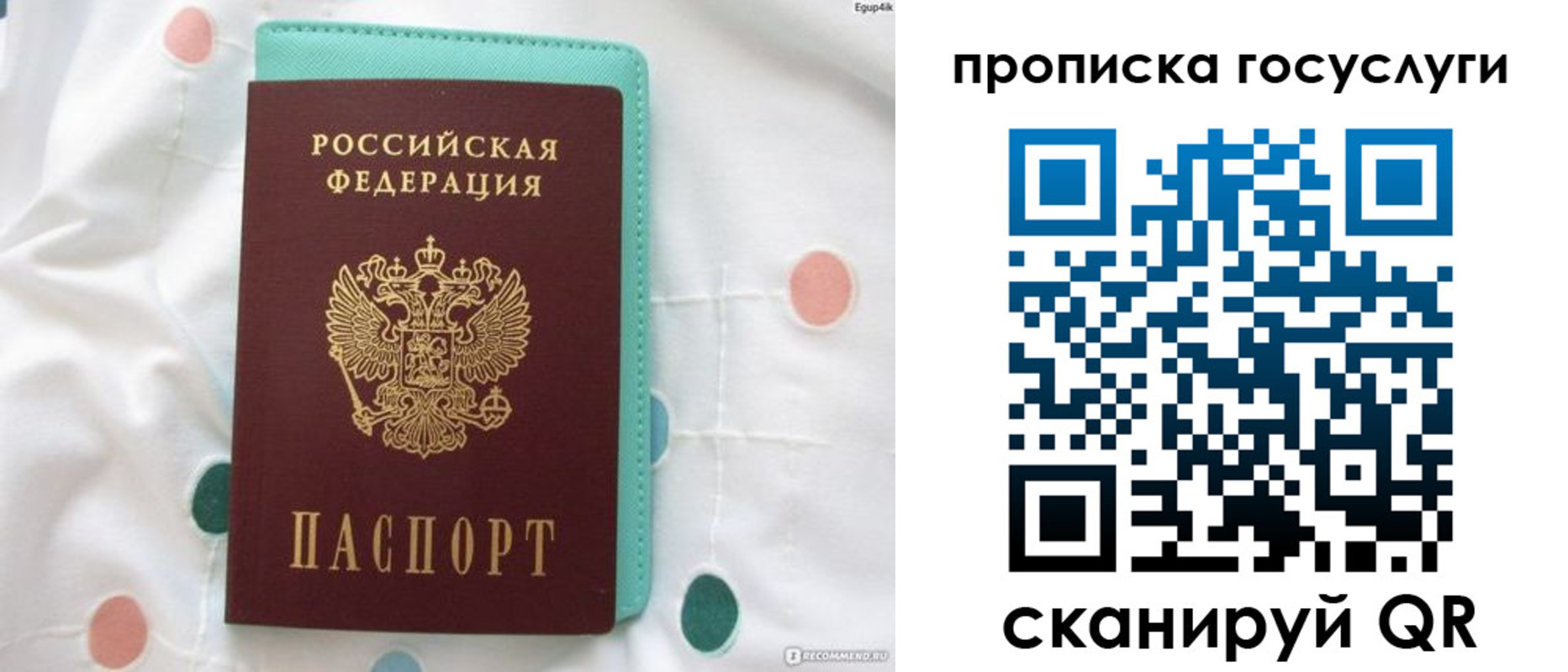 прописка поиск в Сухиничи